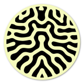 Glow in dark round sticker 1.5&quot;