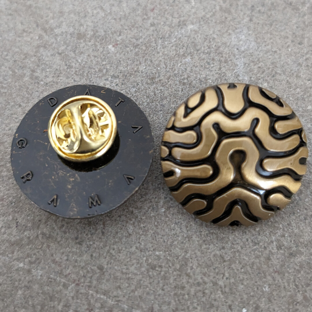 DATAGRAMA PIN