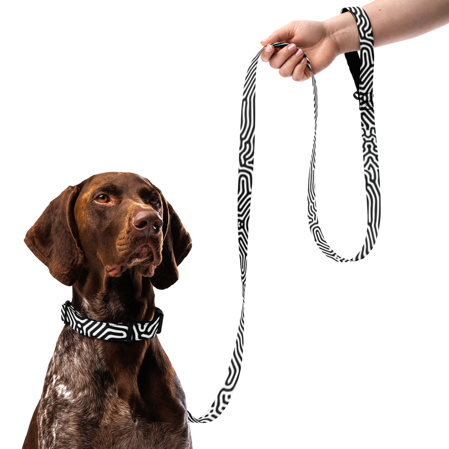 BW DATAGRAMA Pet Leash &amp; Collar Set