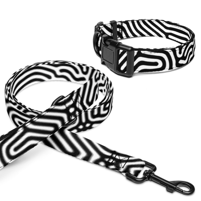 BW DATAGRAMA Pet Leash & Collar Set