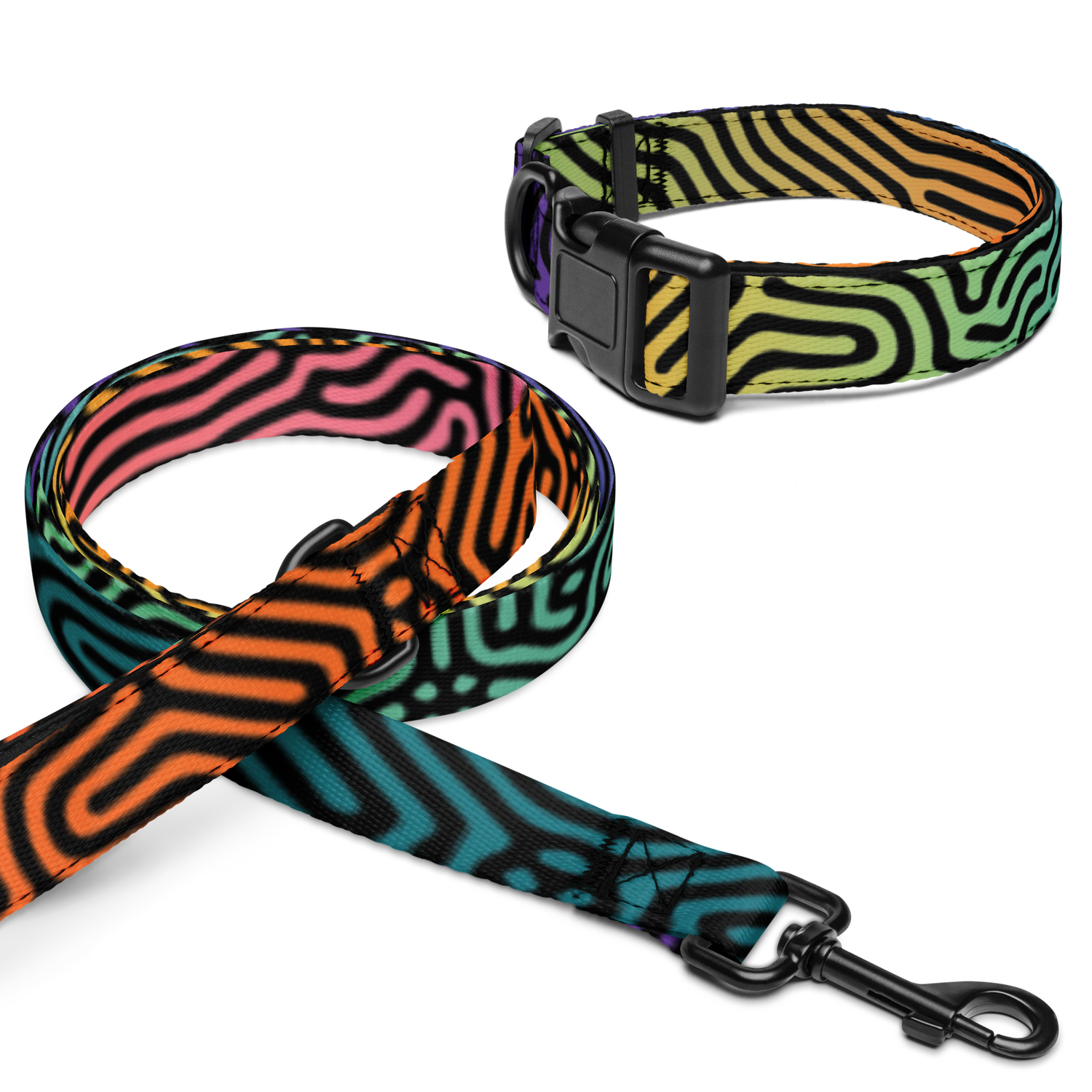 HOLO DATAGRAMA Pet collar &amp; leash set