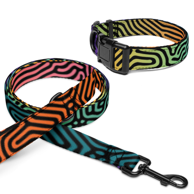 HOLO DATAGRAMA Pet collar &amp; leash set