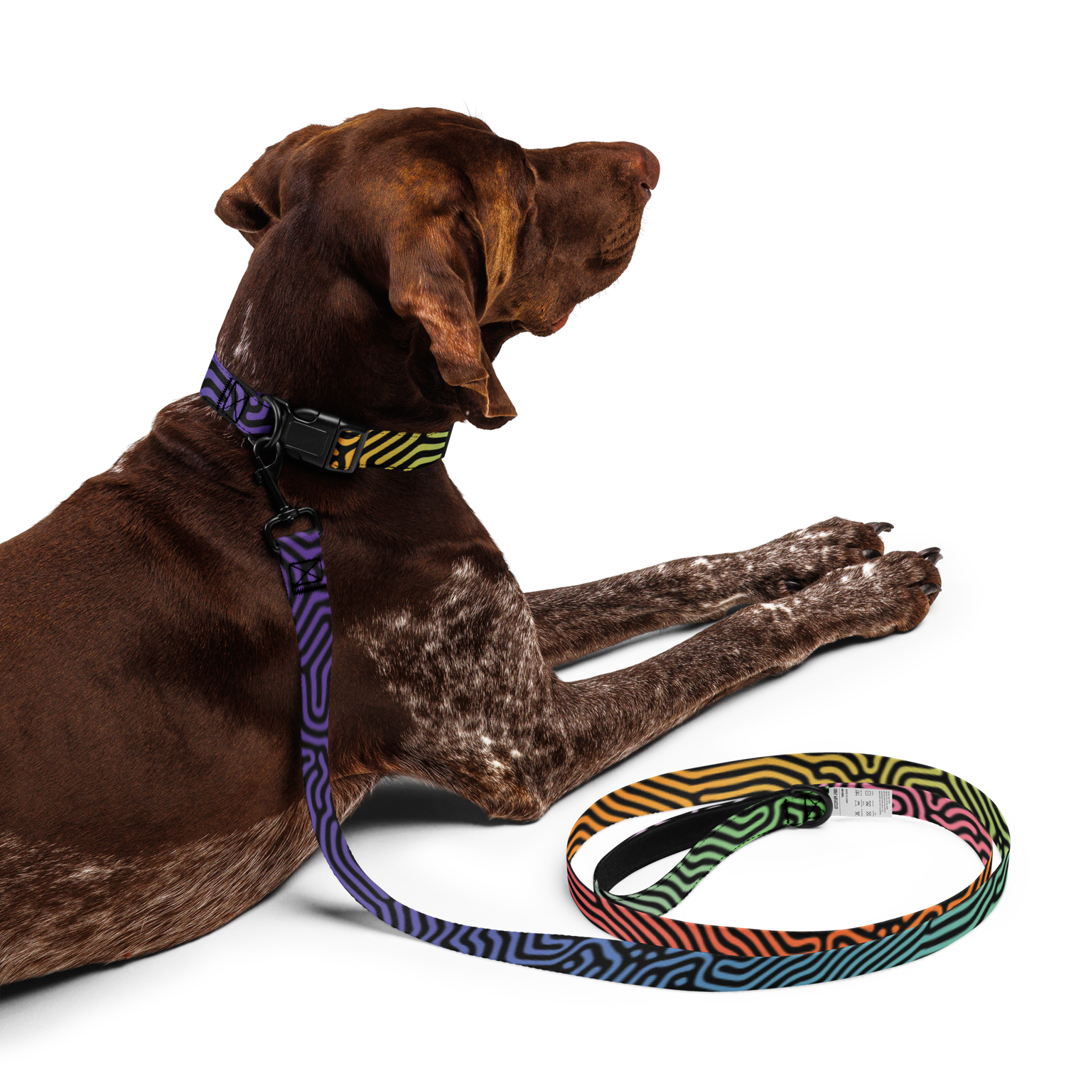 HOLO DATAGRAMA Pet collar &amp; leash set