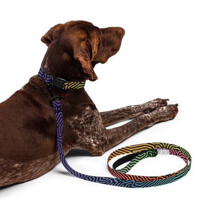 HOLO DATAGRAMA Pet collar & leash set