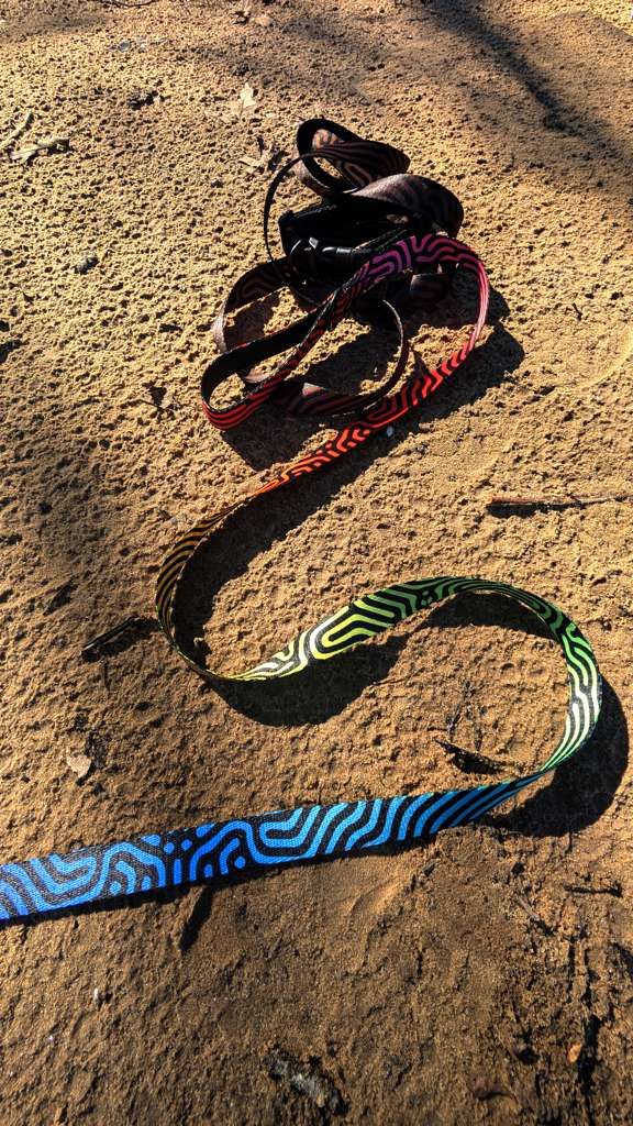 HOLO DATAGRAMA Pet collar &amp; leash set