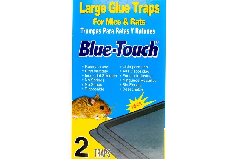 Trampa para Ratones Grande