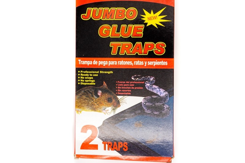 Trampa para Ratones Jumbo