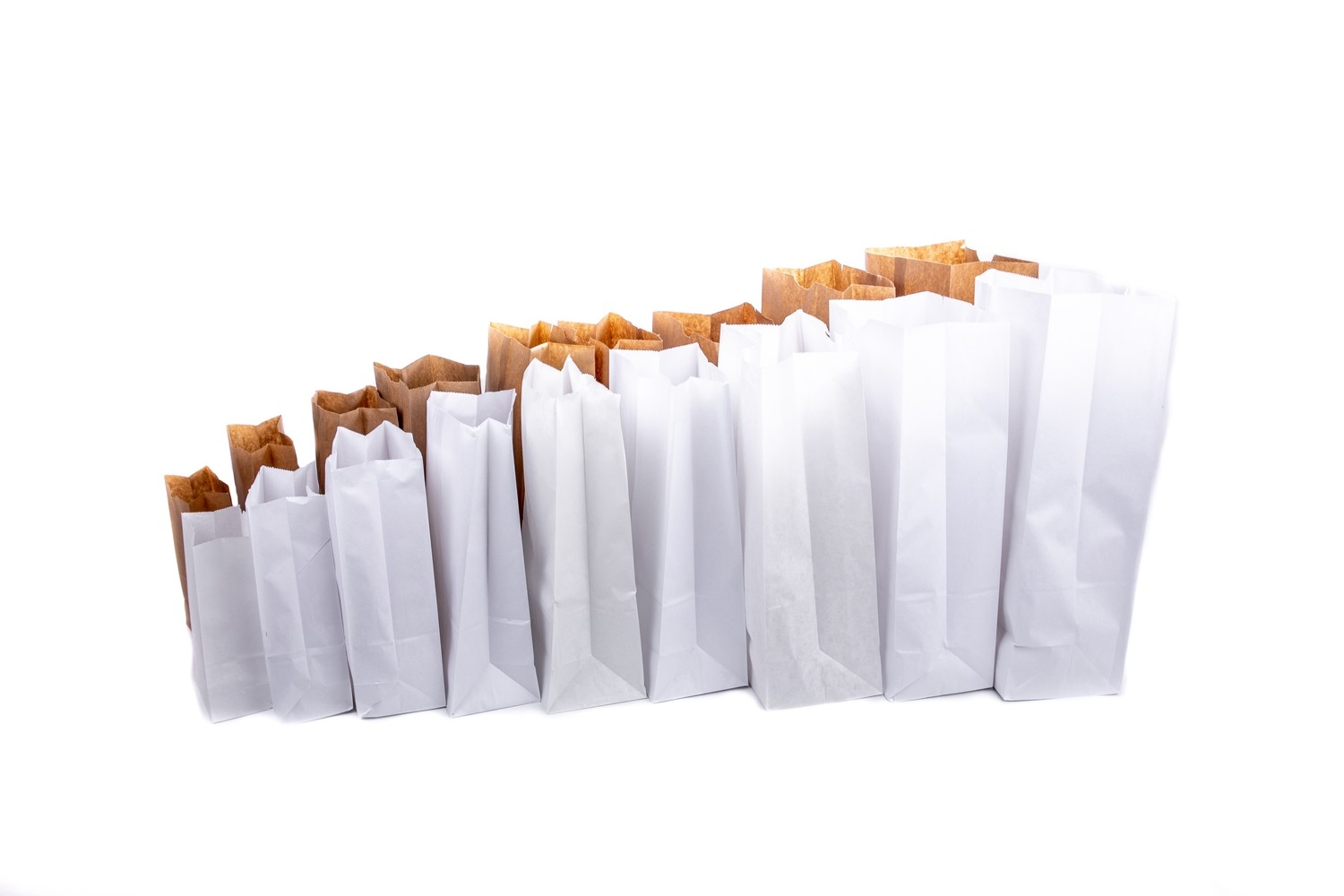 Plain White/Brown Paper Bag Group Shot