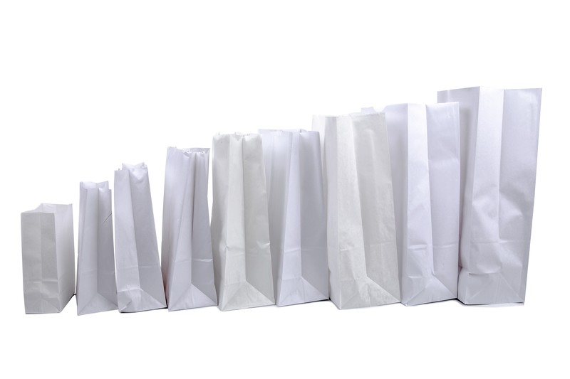 Plain White Paper Bag Group Shot