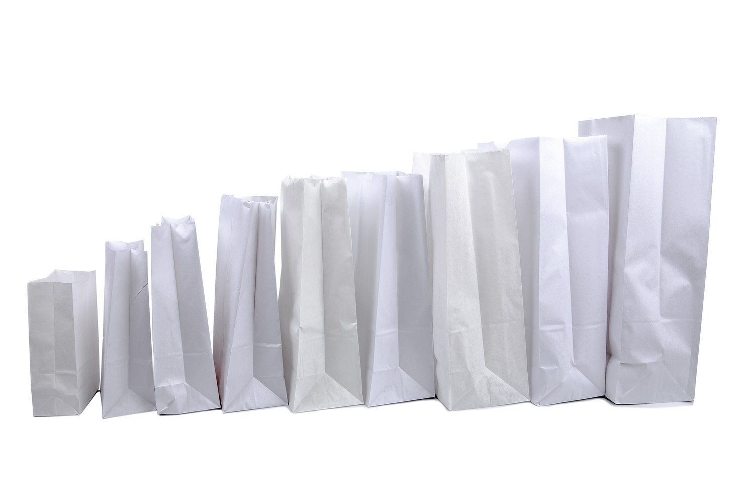 Plain White Paper Bag Group Shot