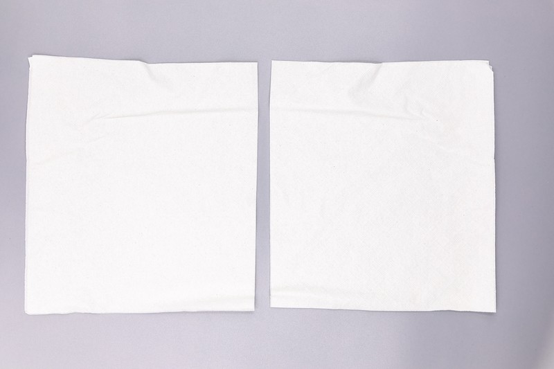 (Swan)Lunch Napkin 12x500
