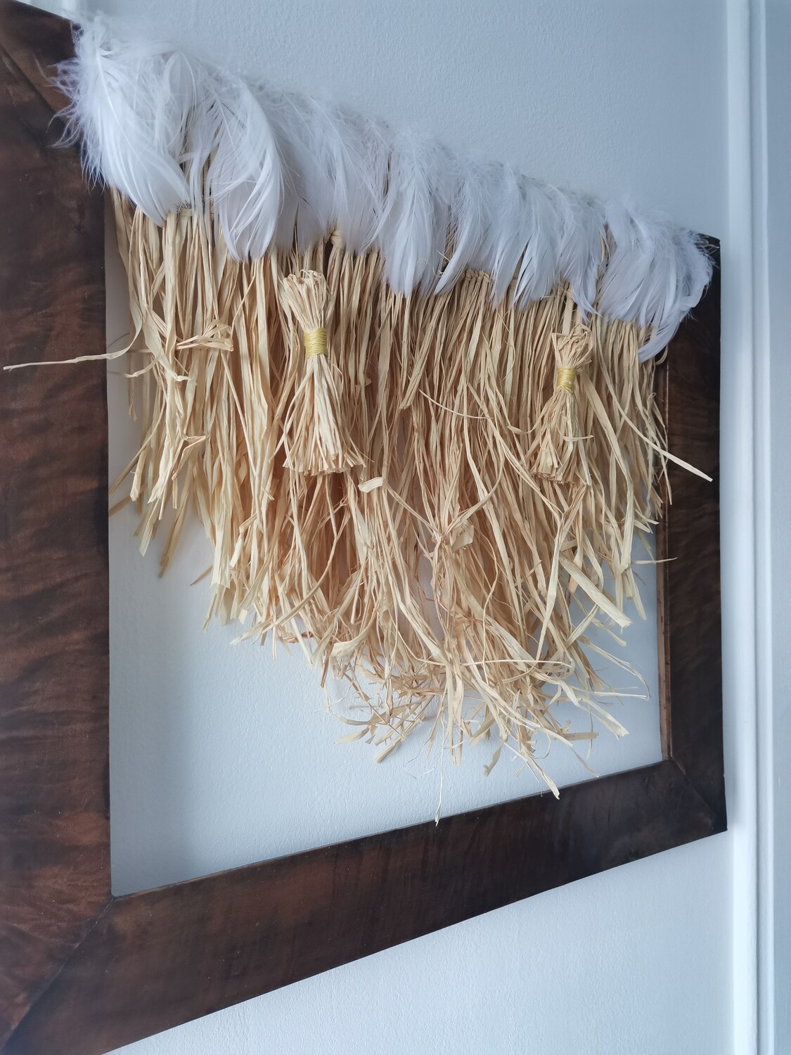 Cadre ethnic plume