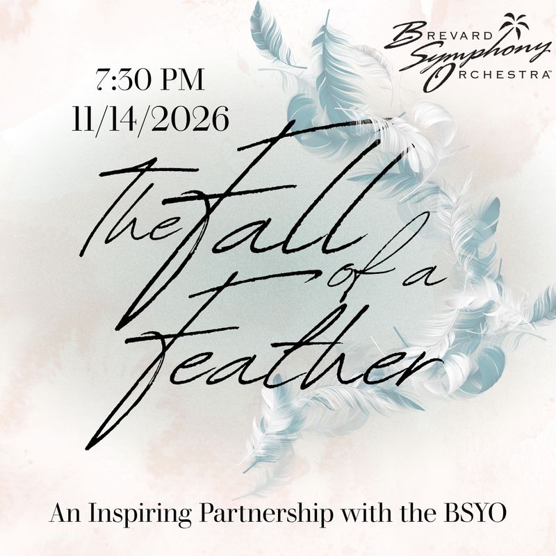 Musician Tickets - The Fall of a Feather