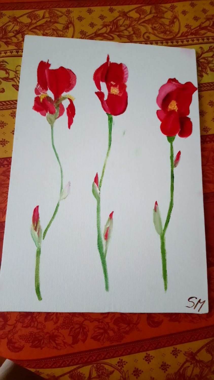 Iris Rouges