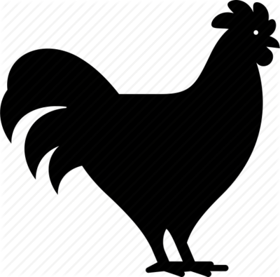 Chick Starter and Grower Feed