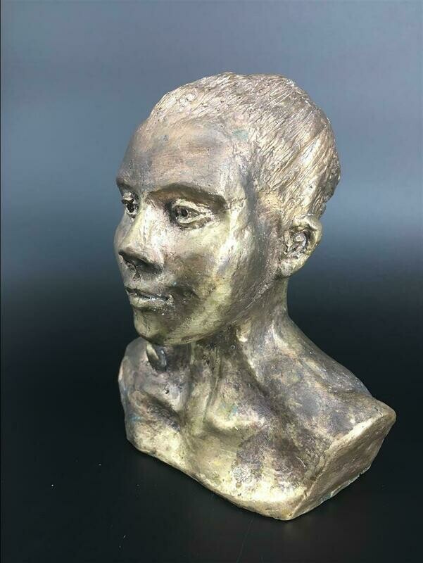 Danaid Hyparete - Bronze