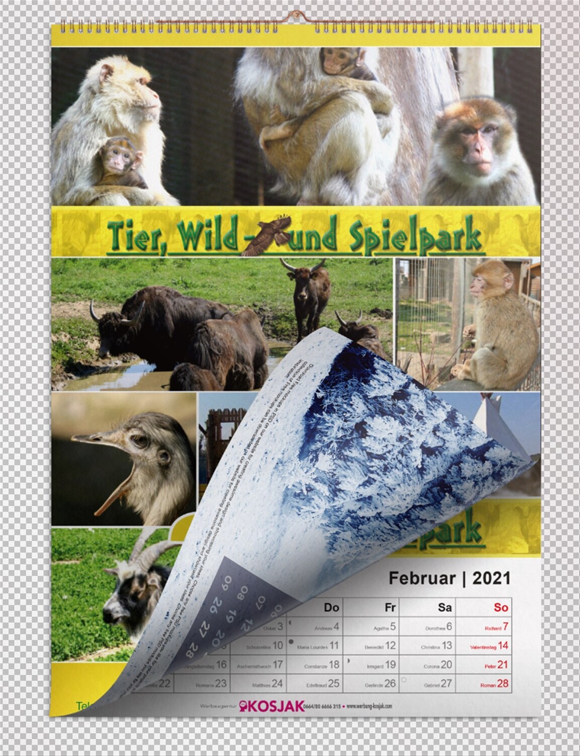 Foto-Jahreskalender Tierpark Preding Foto-Jahreskalender Tierpark Preding
