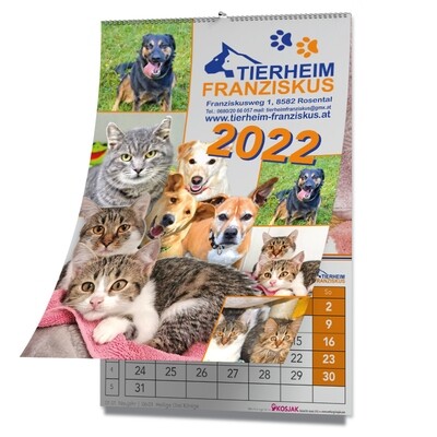 Foto-Jahreskalender Franziskus Tierheim