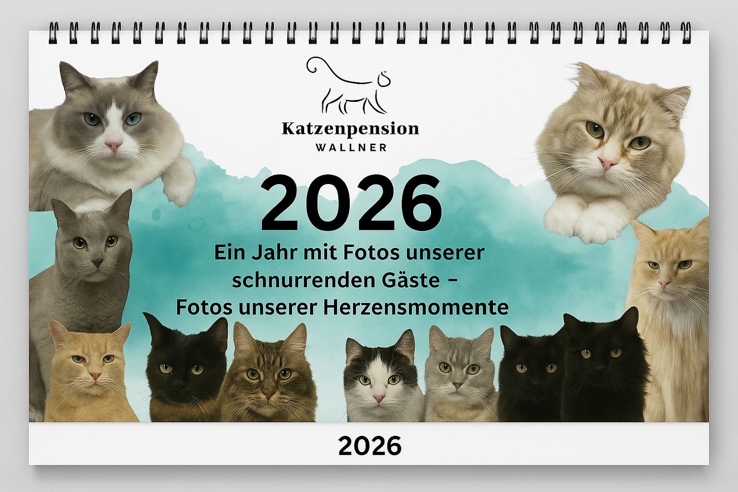 Katzen-Jahreskalender