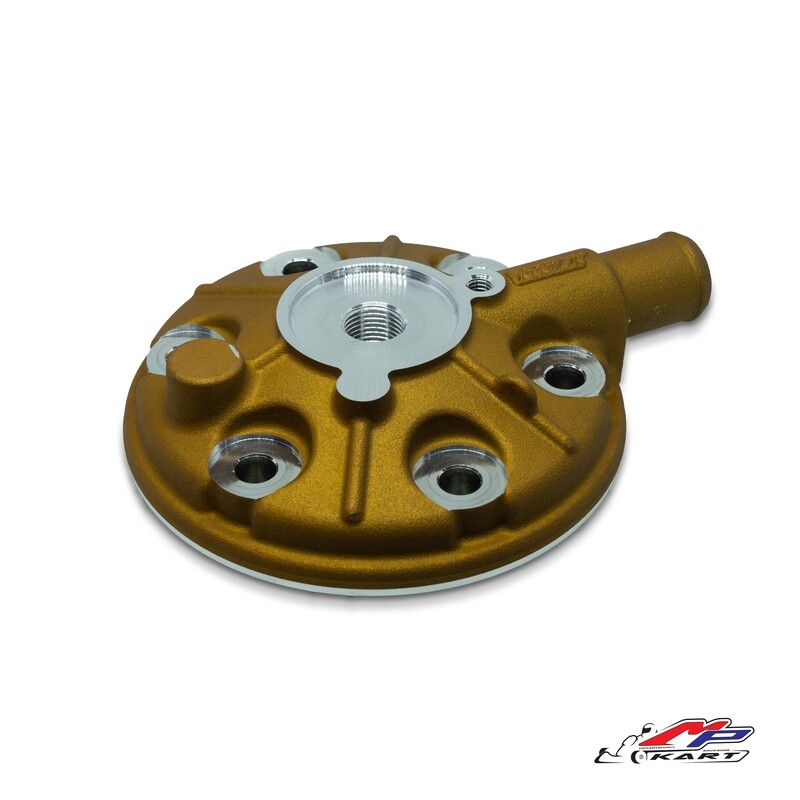 Rok GP / Junior head