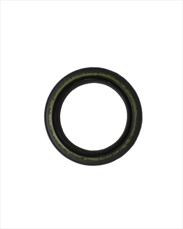 Seal 28x38x7