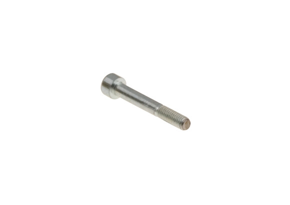 Front brake pad safety screw