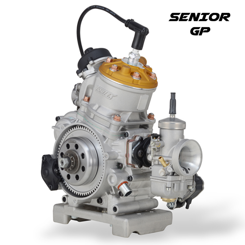 Vortex Rok GP complete engine