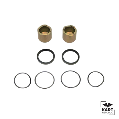KR Kart Republic Rear brake pad screw