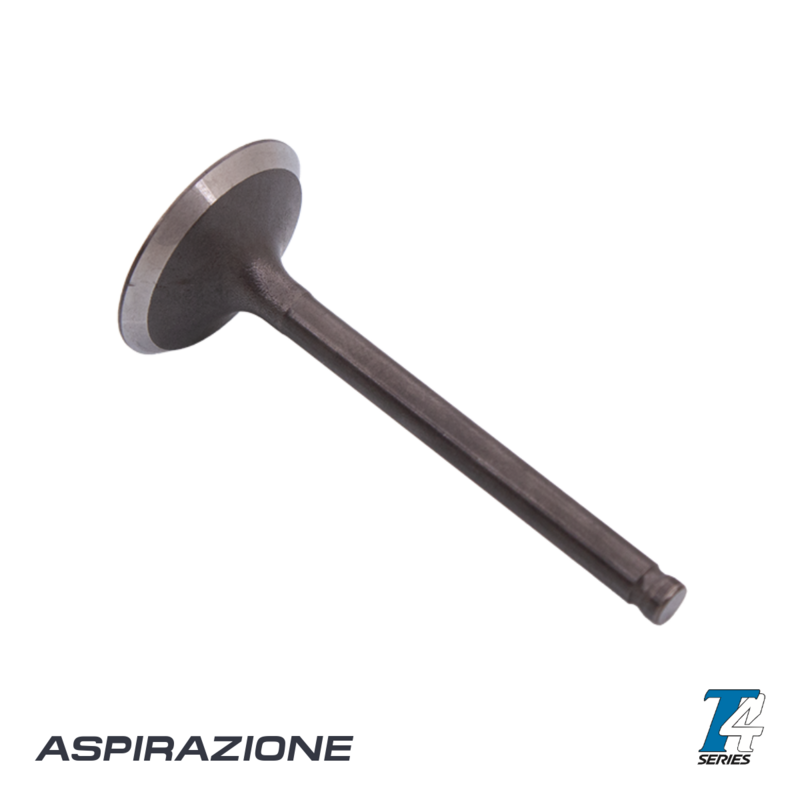 Tillotson T4 intake valve