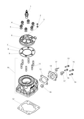 Cylinder &amp; Head