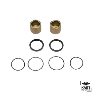 KR Kart Republic Rear brake pad screw