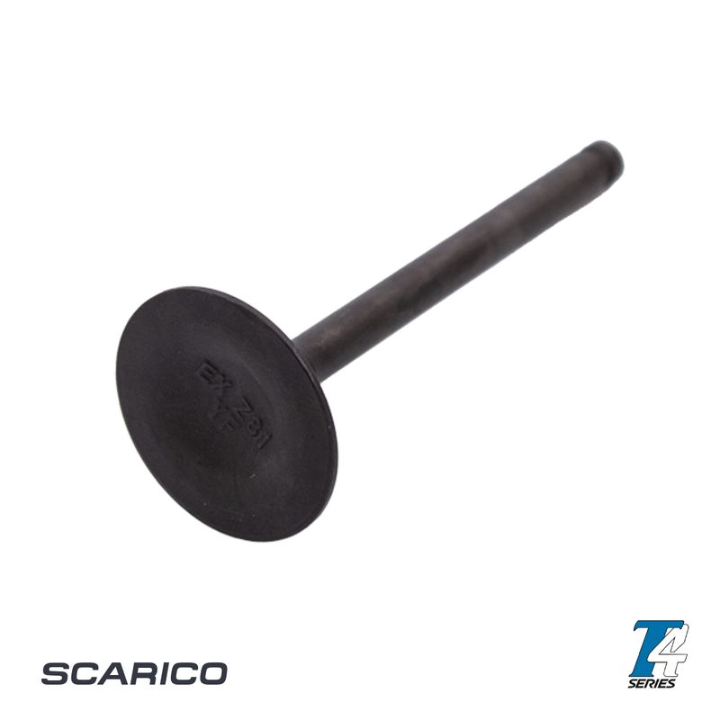 Tillotson T4 exhaust valve (NEW)