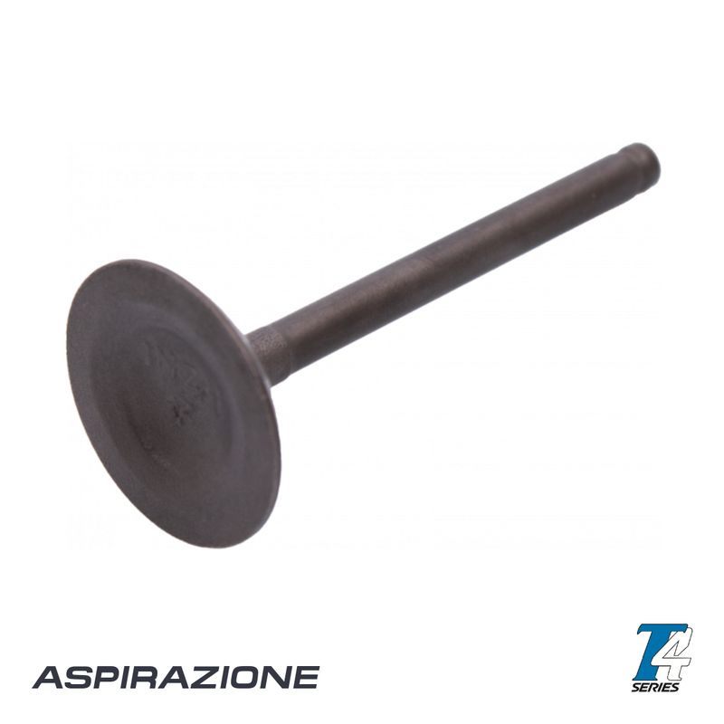 Tillotson T4 intake valve