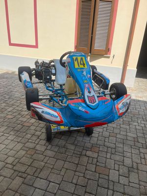 Tillotson T4 2024 completo USATO