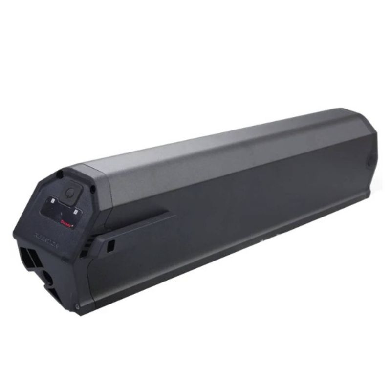 Dorado Reention Type Li-ion Battery (48V, 13Ah)