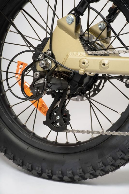 African BushBike motor 1000W