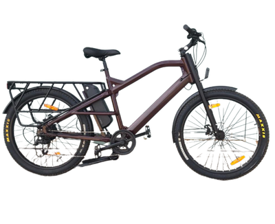 Africrooz-E Allrounder 2024