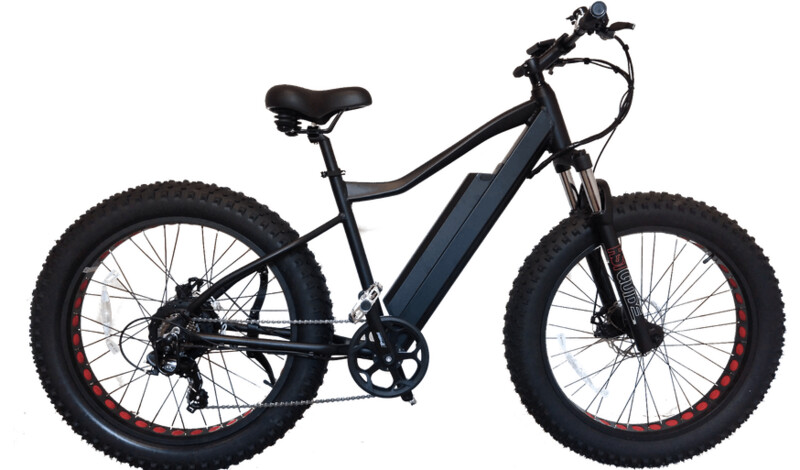 Fat-E 2026