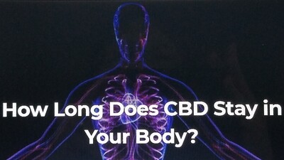 How Long Does CBD Stay in Your Body?