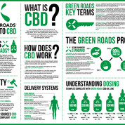 CBD 101 BASICS