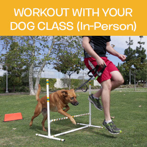 Item 06. Workout With Your Dog Class, Buddy Team (In-Person)