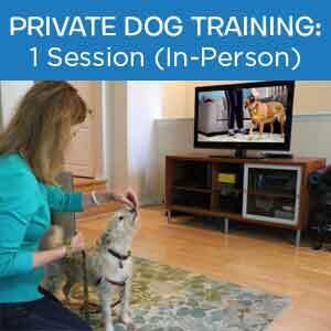 Item 03. Private Dog Training Add-on For Dog Training Class Student: 1 Session (In-Person)