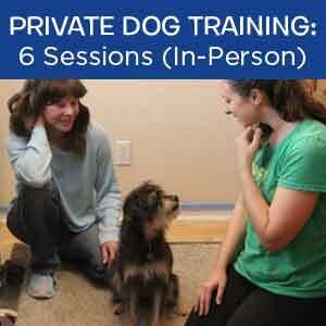 Item 05. Private Dog Training Add-on For Dog Training Class Student: 6 Sessions (In-Person)