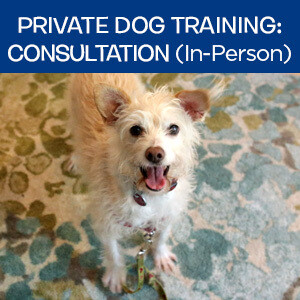 Item 01. Private Dog Training Consultation