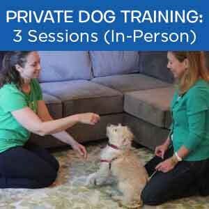 Item 08. Private Dog Training: 3 Sessions (In-Person)