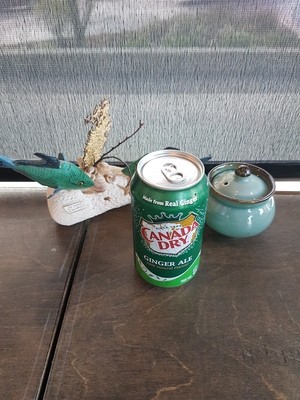 Ginger Ale