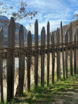 Grey larch slats