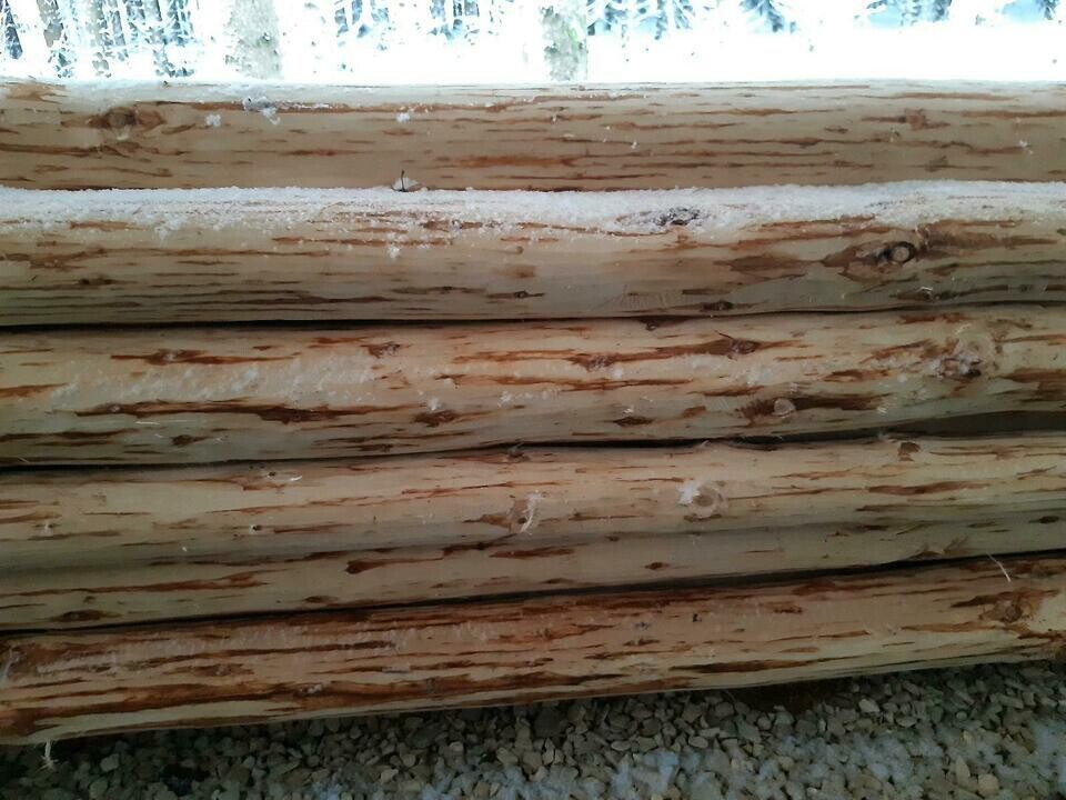 Rustic Forest Pole Small