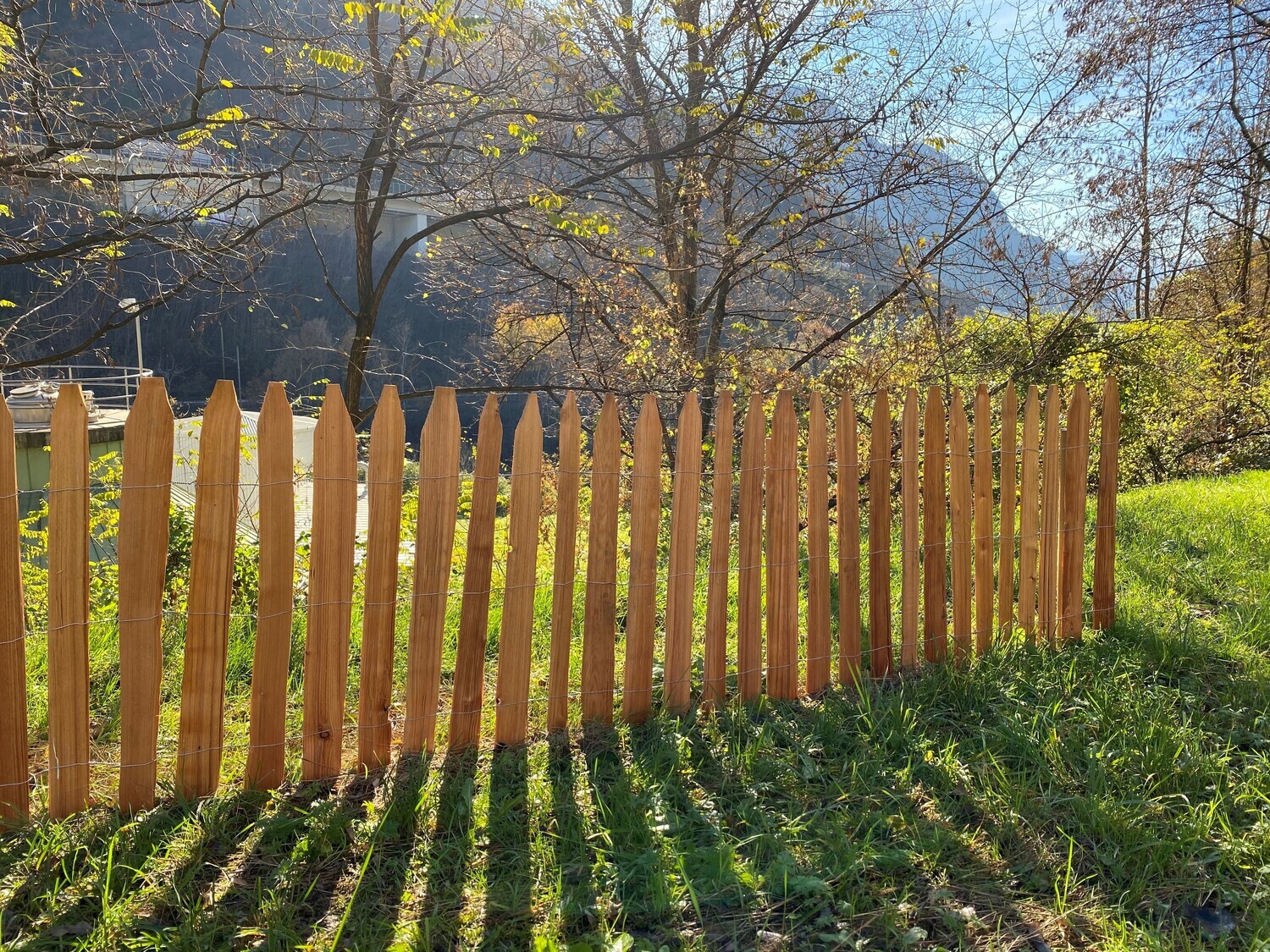 Traditional fence