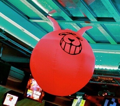 Space Hopper